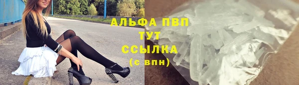 стафф Михайловск
