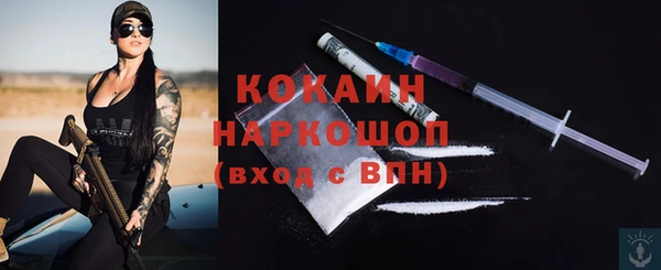 кокс Михайлов