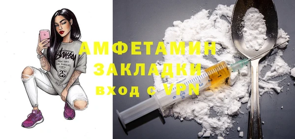 стафф Михайловск