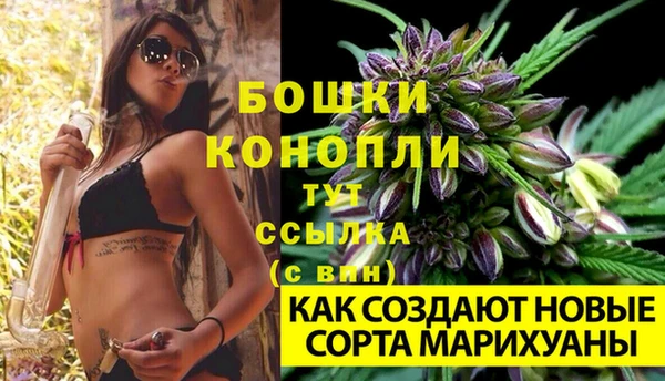 кокс Михайлов