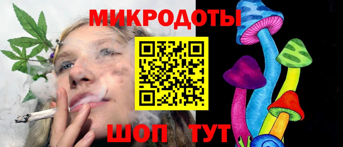 Галлюциногенные грибы Psilocybe Петрозаводск
