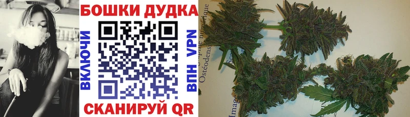 mega сайт Петрозаводск Бошки марихуана OG Kush